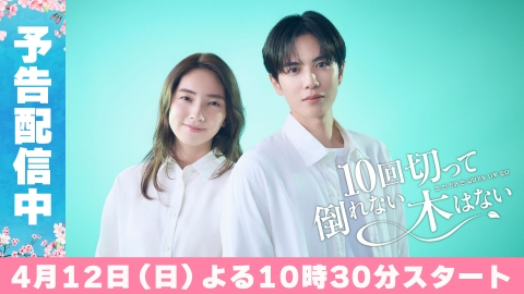 10回切って倒れない木はない