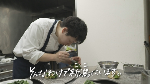 そんなわけで新潟にいます。