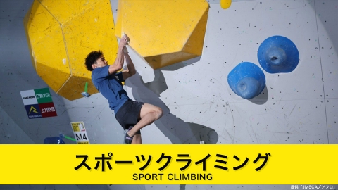 スポーツクライミング　ジャパンカップ