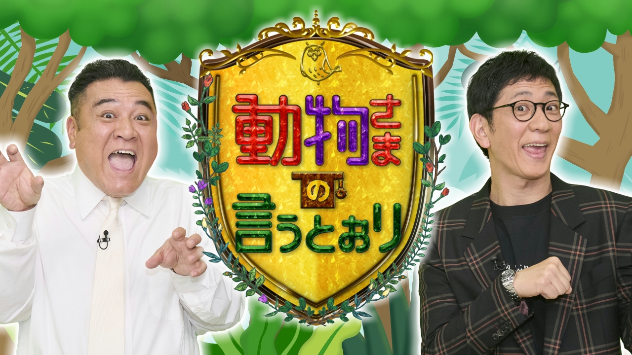 動物さまの言うとおり バラエティ 見逃し無料配信はtver 人気の動画見放題