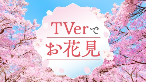TVerにも春が来た！お花見特集のALL | 見逃し無料配信はTVer！人気の